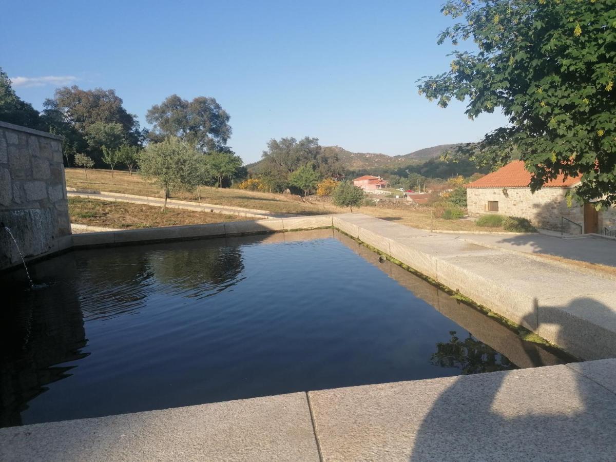 Lirios Da Granja - Casa De Campo Exteriér fotografie