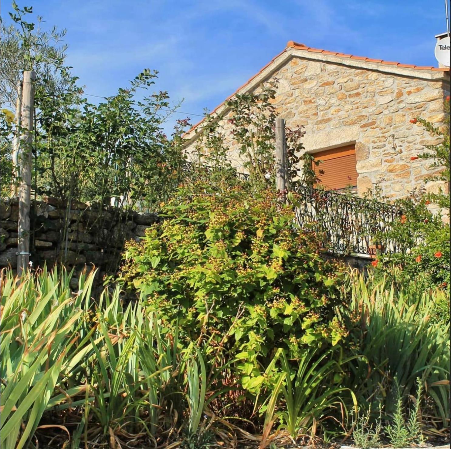 Lirios Da Granja - Casa De Campo Exteriér fotografie